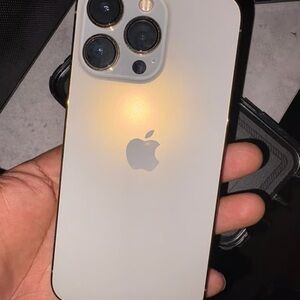 Apple iPhone with Silver and Gold Finish